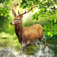 Facebook槓上澳洲封殺新聞媒體，結果不小心順便把自家粉絲團也封鎖了